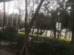 -光明港公园