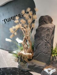 点击看大图 -TOP HAIR SALON