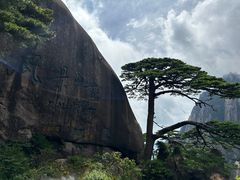 -黄山风景区