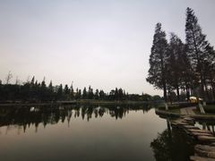 -河泥荡文化公园