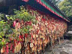 -丽江玉水寨