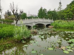 -映月湖公园