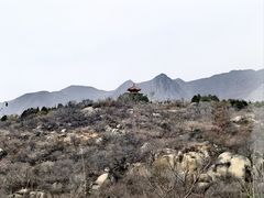 -白水寺森林公园