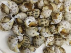 白灼花螺-众味海鲜大排档·活海鲜·潮汕味(南澳店)
