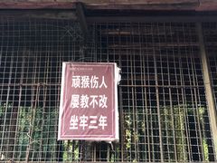 -武陵山森林公园