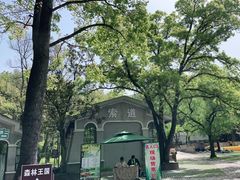 -WeLope紫金山探险公园