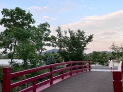 -羊山湖公园