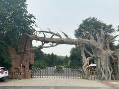 -红山国家森林公园