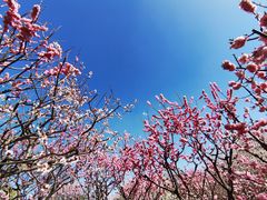 -北京明城墙遗址公园