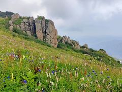 -白草畔自然风景区