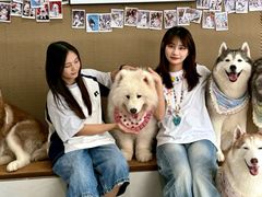 -星多哈·狗咖·拼豆·咖啡
