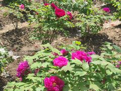 -江南大学(蠡湖校区)