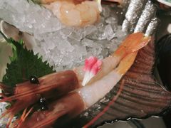 -極上萬膳·日料放题(海岸城店)