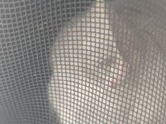 -纳吉亚猫专科动物诊疗中心(蒋宅口分院)