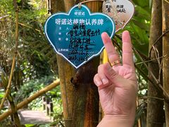 -呀诺达热带雨林