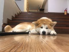 -YCHL Studios健身工作室(市二宫店)