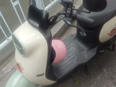 -应天大明王朝·南京菜(中山陵店)