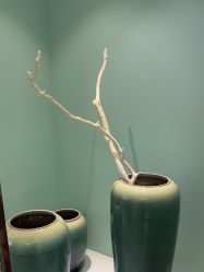 -常熟时代医疗美容