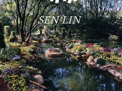 -上海共青森林公园