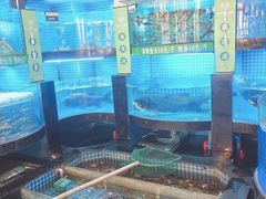 -千岛湖小鱼儿·淳安匠心农家菜