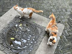 -檀园