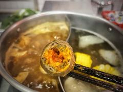 -燃计沙茶皇·香港沙茶火锅(人广旗舰店)