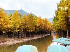 -塔川景区