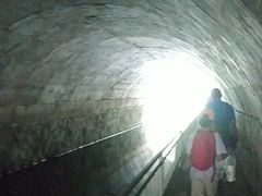 -白水寺森林公园