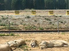 -秦皇岛野生动物园