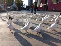 -合肥融创乐园