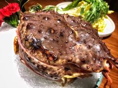 帝王蟹套餐-綱元·海鲜豆捞(明州里店)