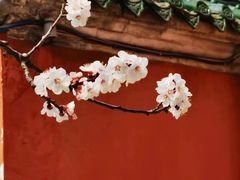 -圣莲山风景区
