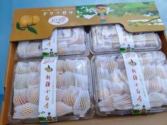 -西郊国际农产品交易中心