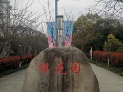 -高东镇樱花园