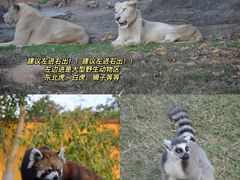 -杭州野生动物世界