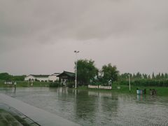 -陶辛水韵