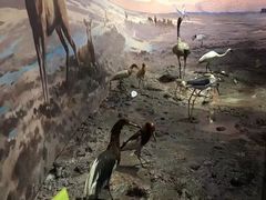 -中国湿地博物馆