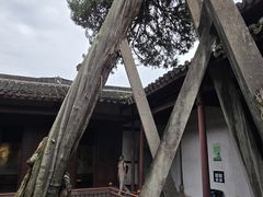 -太平天国侍王府