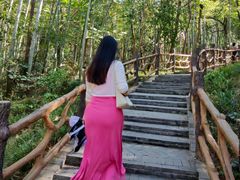 -青龙山国家森林公园