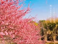 -白塘生态植物园