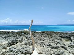 android_upload_pic-鹅銮鼻公园