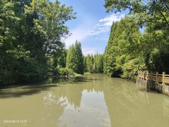 -桤木河湿地公园