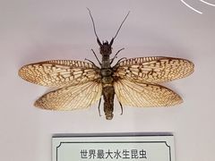 -浦乐汇·汤泉水世界