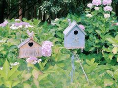 -共青国家森林公园-售票处