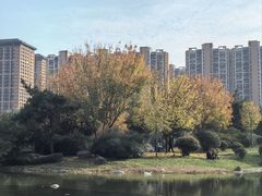 -木塔寺遗址生态公园