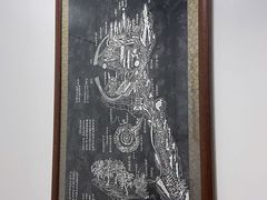 -憼安跌打·中医诊所(福田梅林店)