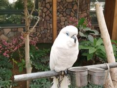 -南宫五洲植物乐园