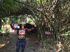 -瑞丽独树成林风景区