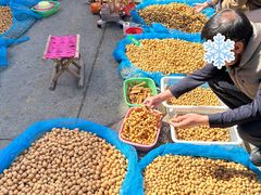 -中环花鸟鱼虫市场