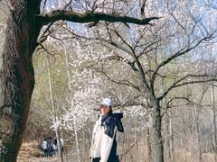 -北京山里寒舍度假酒店